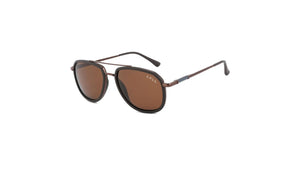 Golden Ray Sunglasses