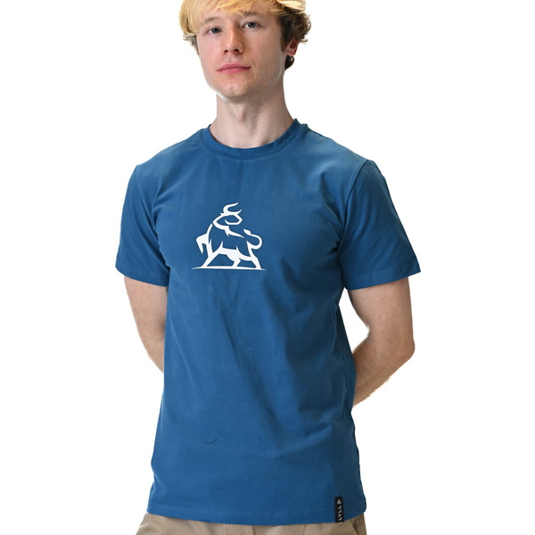 SAPPHIRE BULL